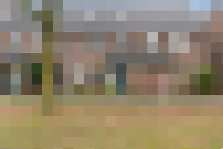 Wolborgenmate 128 Doetinchem thumbnail 9