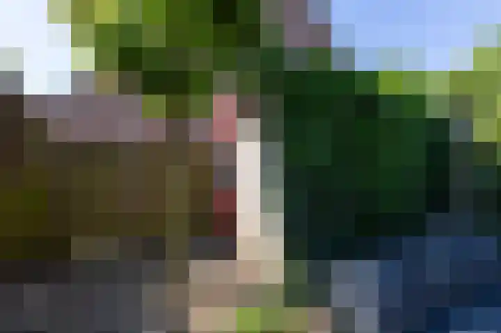 Wolborgenmate 34 Doetinchem thumbnail 23