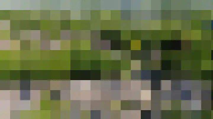 Wolborgenmate 34 Doetinchem thumbnail 52