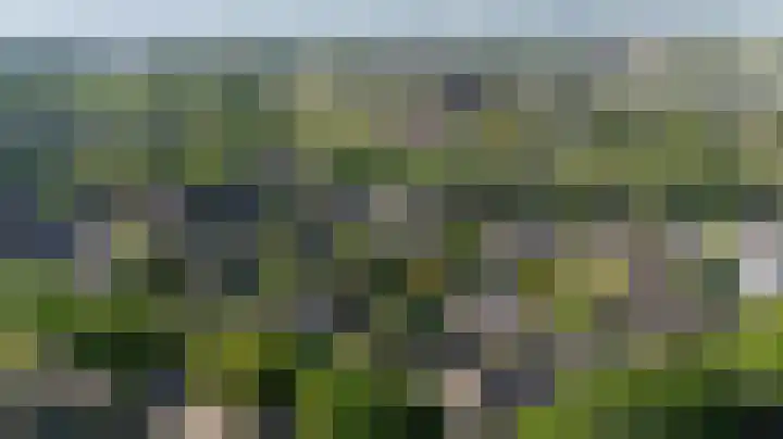 Wolborgenmate 34 Doetinchem thumbnail 53