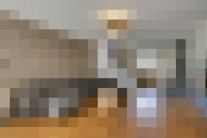 Wolborgenmate 44 Doetinchem thumbnail 17