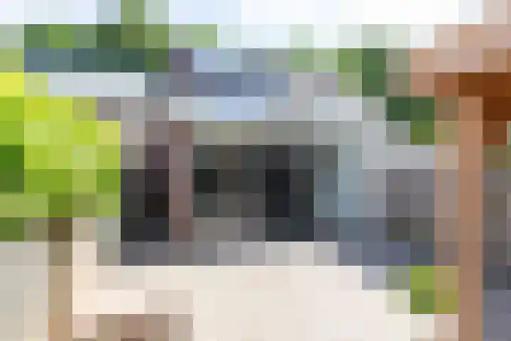 Wolborgenmate 44 Doetinchem thumbnail 24
