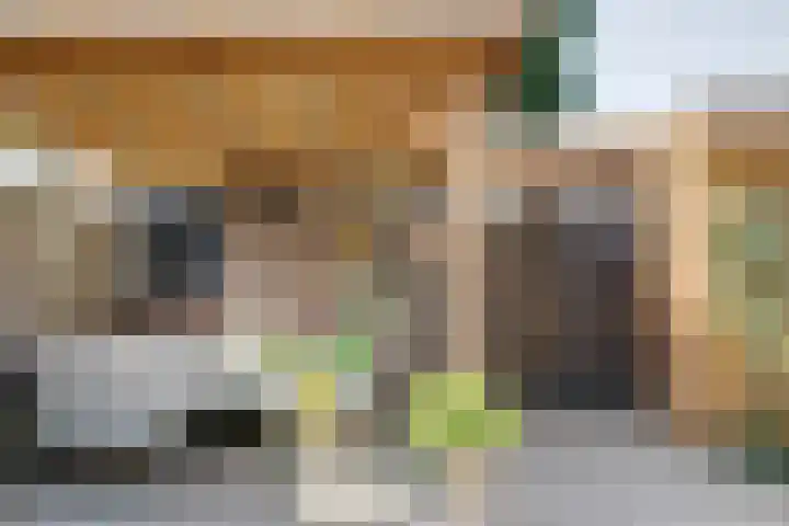 Wolborgenmate 44 Doetinchem thumbnail 28