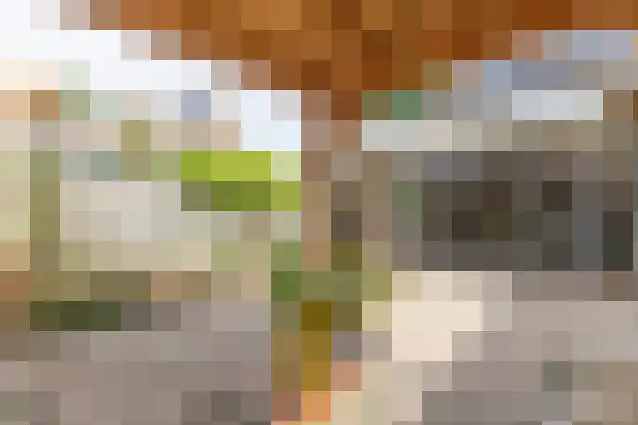 Wolborgenmate 44 Doetinchem thumbnail 31