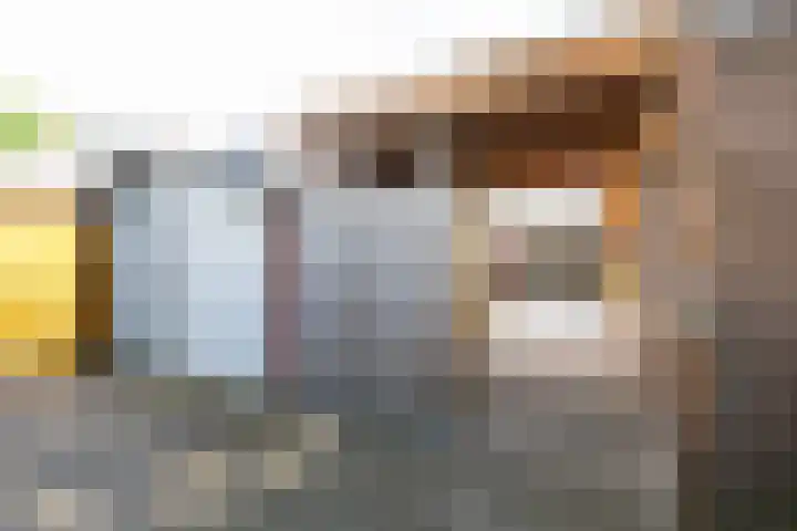 Wolborgenmate 44 Doetinchem thumbnail 34