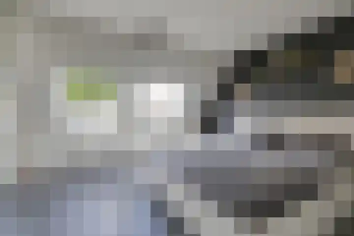 Wolborgenmate 44 Doetinchem thumbnail 36