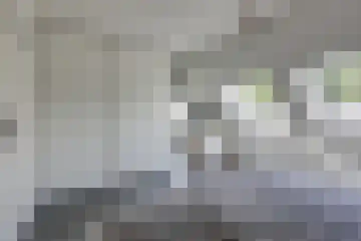 Wolborgenmate 44 Doetinchem thumbnail 37