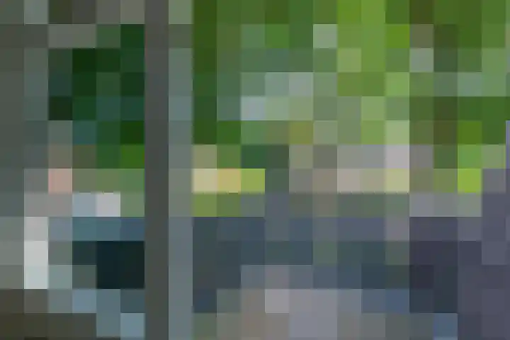 Wolborgenmate 44 Doetinchem thumbnail 39