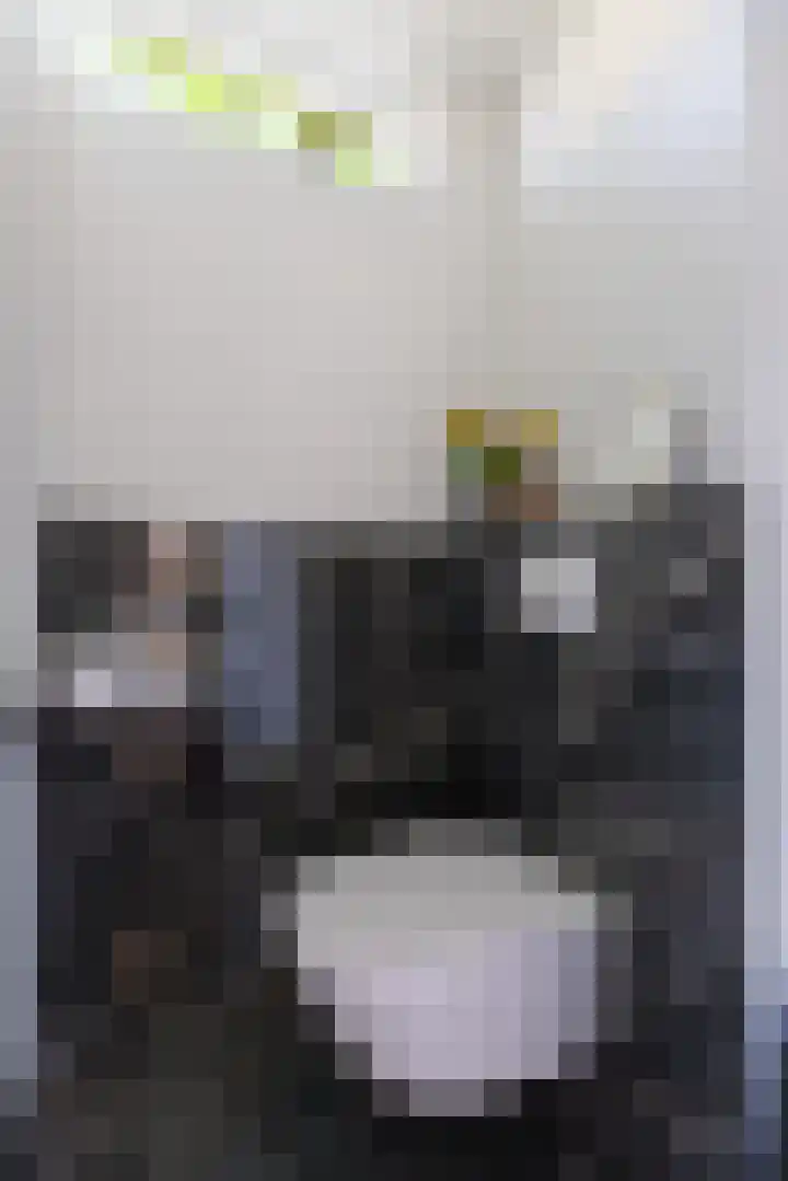 Wolborgenmate 44 Doetinchem thumbnail 4