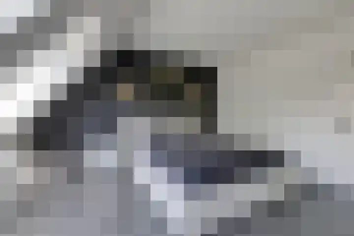 Wolborgenmate 44 Doetinchem thumbnail 47