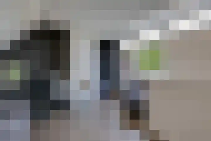 Wolborgenmate 44 Doetinchem thumbnail 48