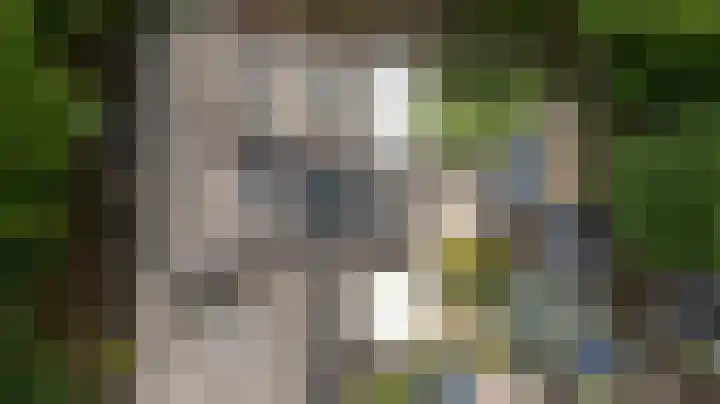 Wolborgenmate 44 Doetinchem thumbnail 5