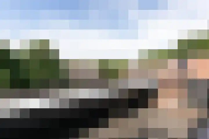Wolborgenmate 44 Doetinchem thumbnail 50