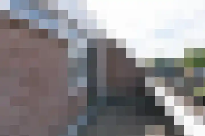 Wolborgenmate 44 Doetinchem thumbnail 51