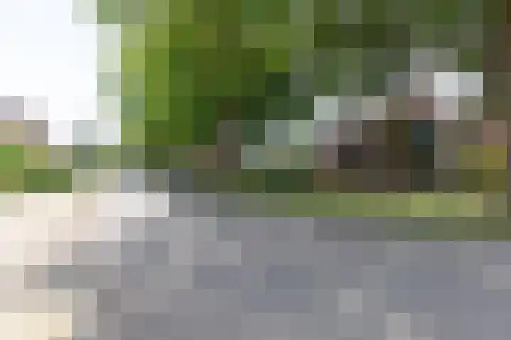 Wolborgenmate 44 Doetinchem thumbnail 6
