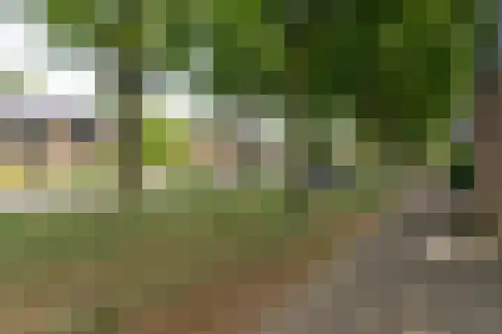 Wolborgenmate 44 Doetinchem thumbnail 7