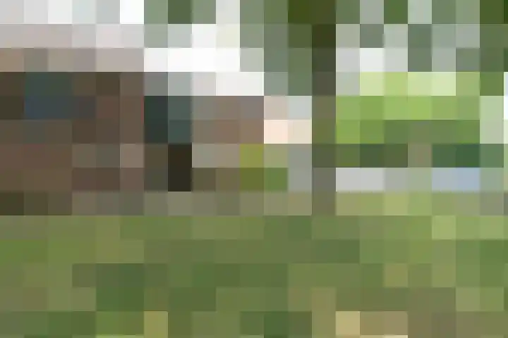Wolborgenmate 44 Doetinchem thumbnail 8
