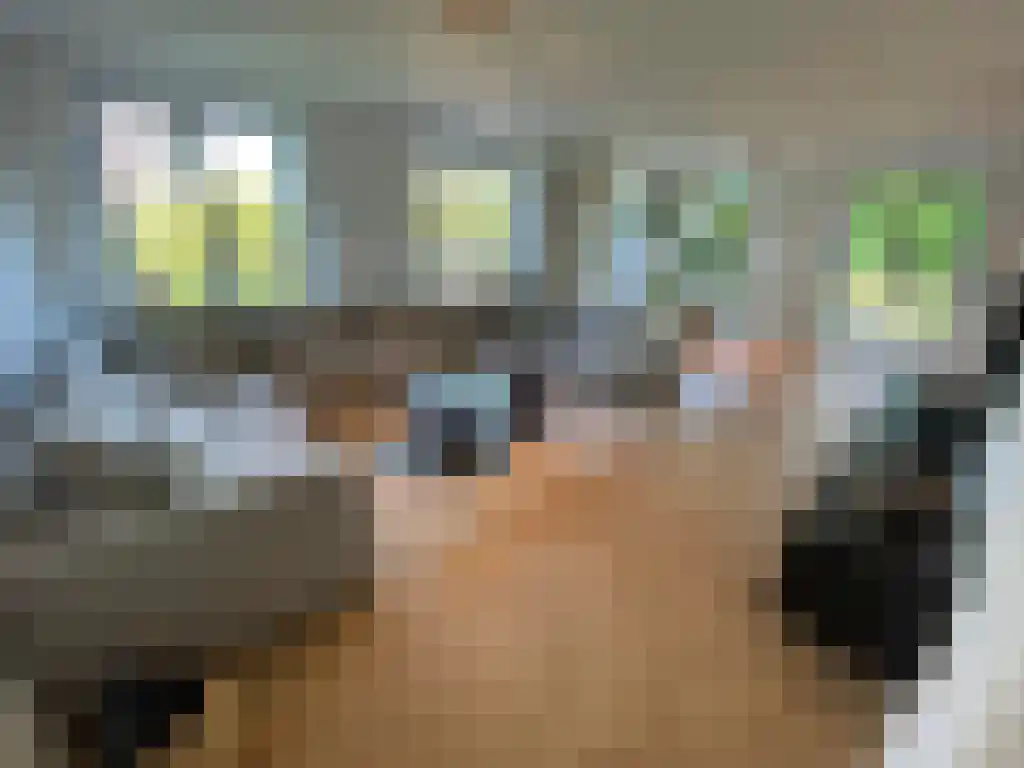 Wolbrantskerkweg 104 Amsterdam thumbnail 4