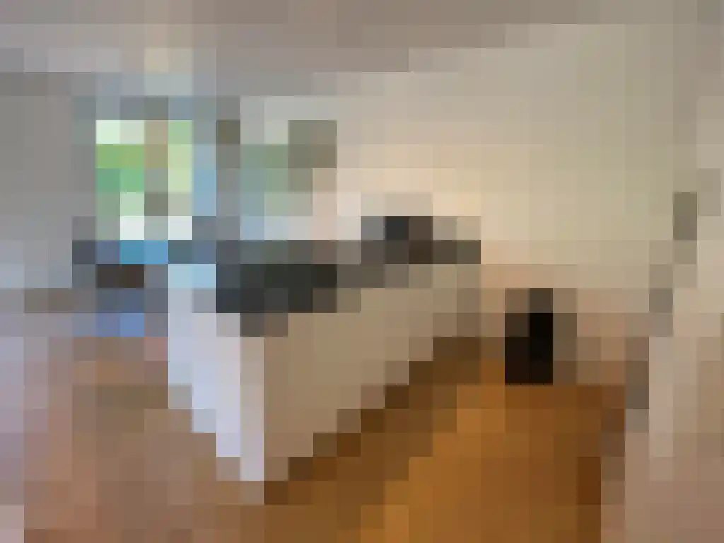 Wolbrantskerkweg 104 Amsterdam thumbnail 5