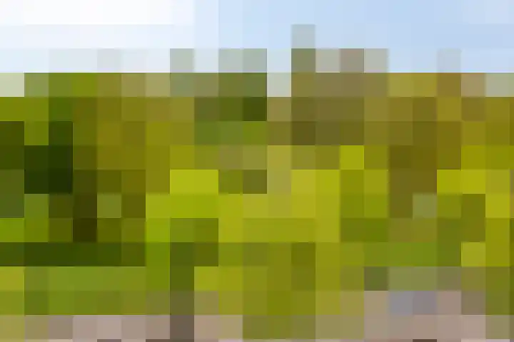 Wolbrantskerkweg 106 D Amsterdam thumbnail 17