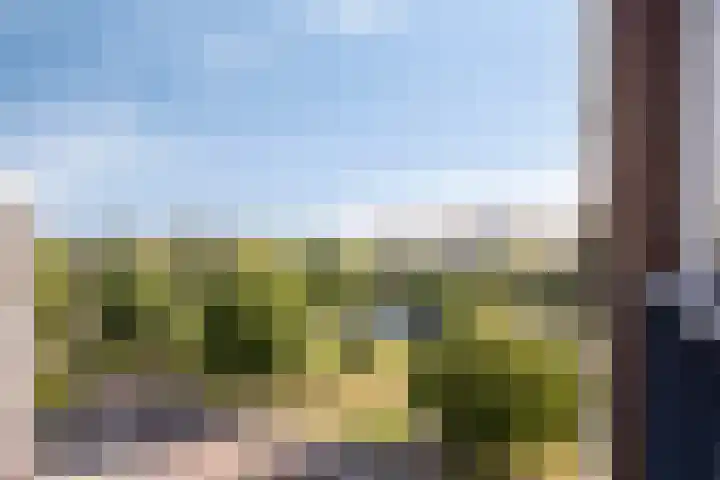 Wolbrantskerkweg 110 F Amsterdam thumbnail 28