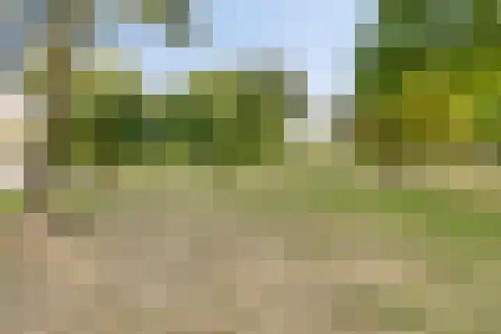 Wolbrantskerkweg 110 F Amsterdam thumbnail 33