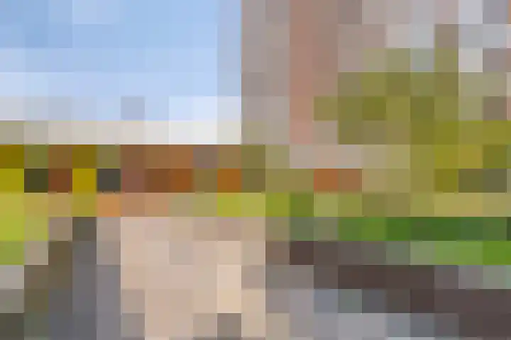 Wolbrantskerkweg 110 F Amsterdam thumbnail 4