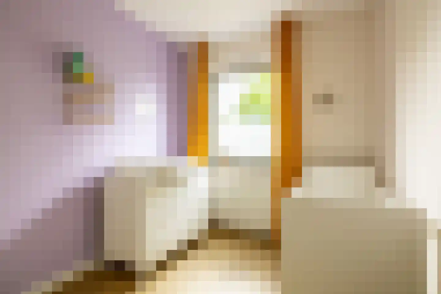 Wolbrantskerkweg 113 Amsterdam thumbnail 20