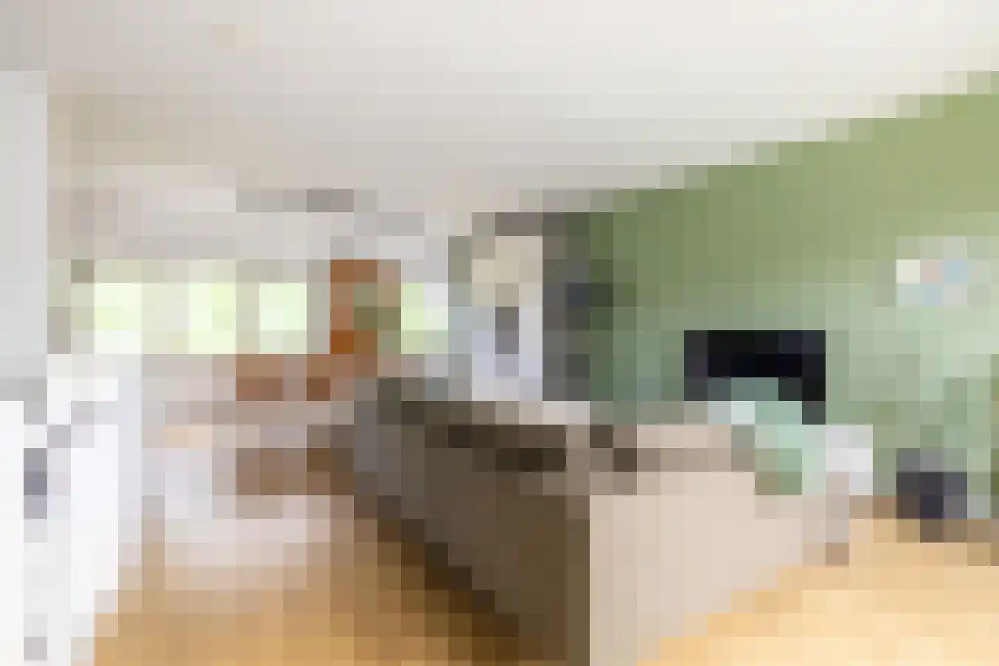 Wolbrantskerkweg 113 Amsterdam thumbnail 27