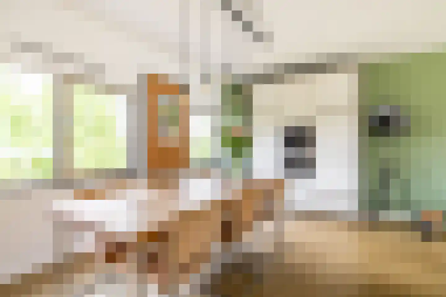 Wolbrantskerkweg 113 Amsterdam thumbnail 36