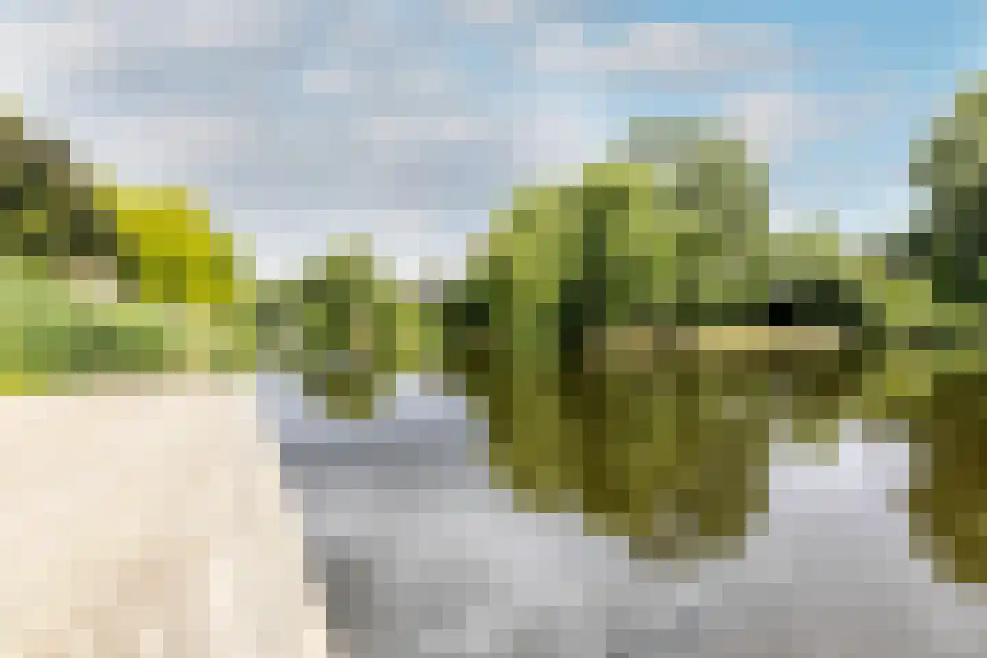 Wolbrantskerkweg 113 Amsterdam thumbnail 48