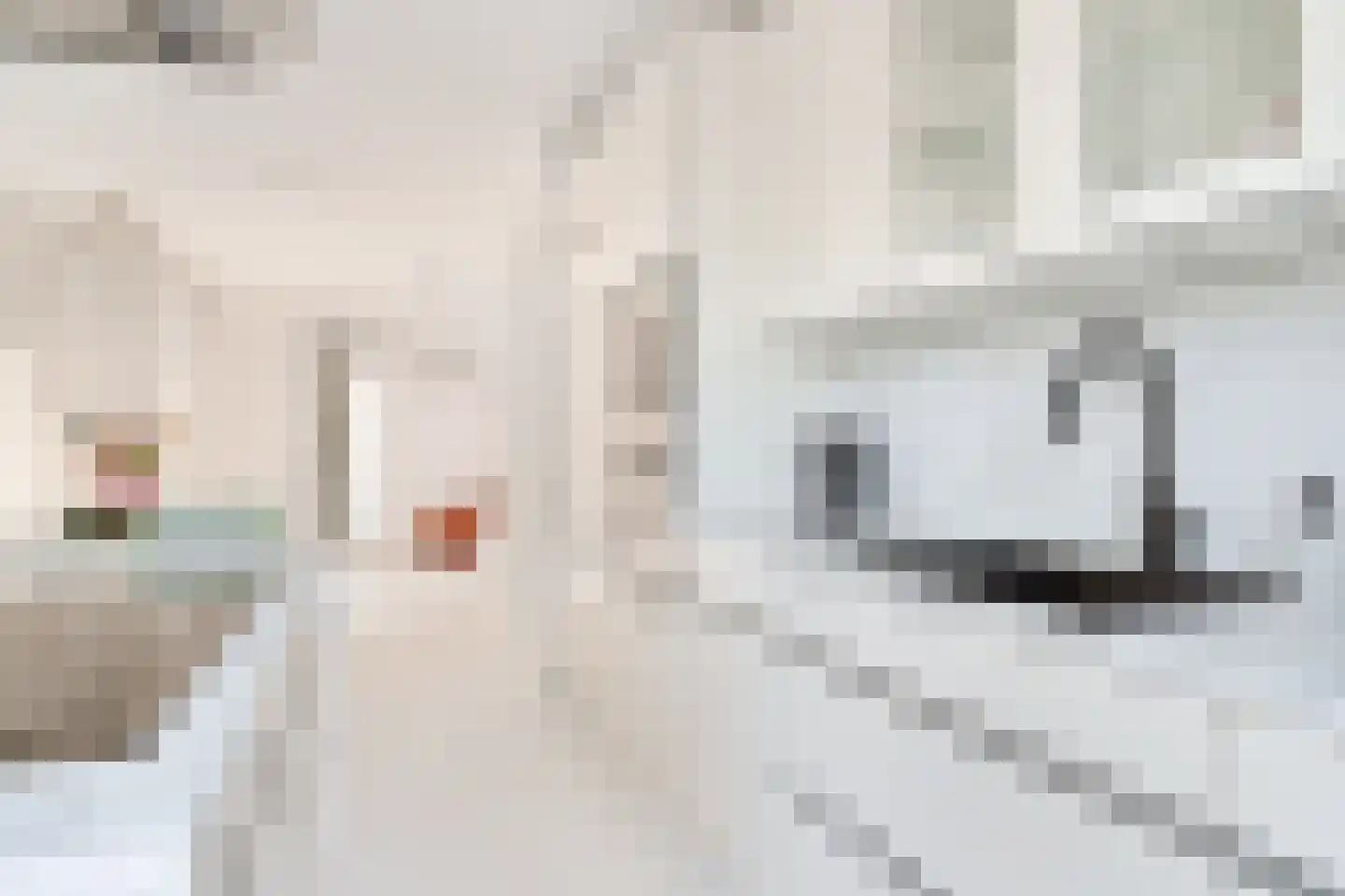 Wolbrantskerkweg 125 Amsterdam thumbnail 13
