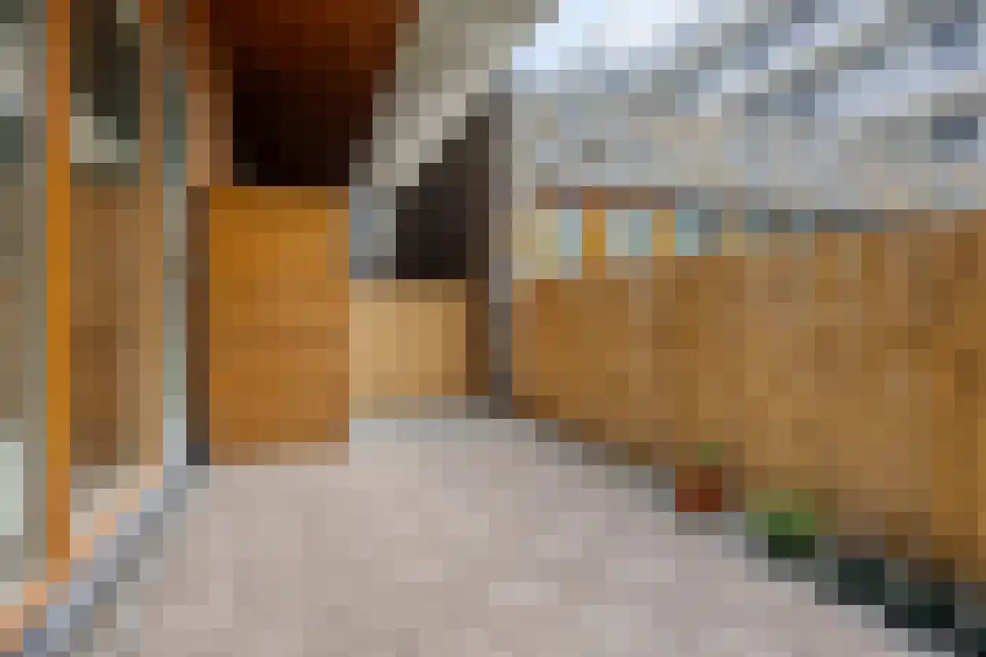 Wolbrantskerkweg 141 Amsterdam thumbnail 19