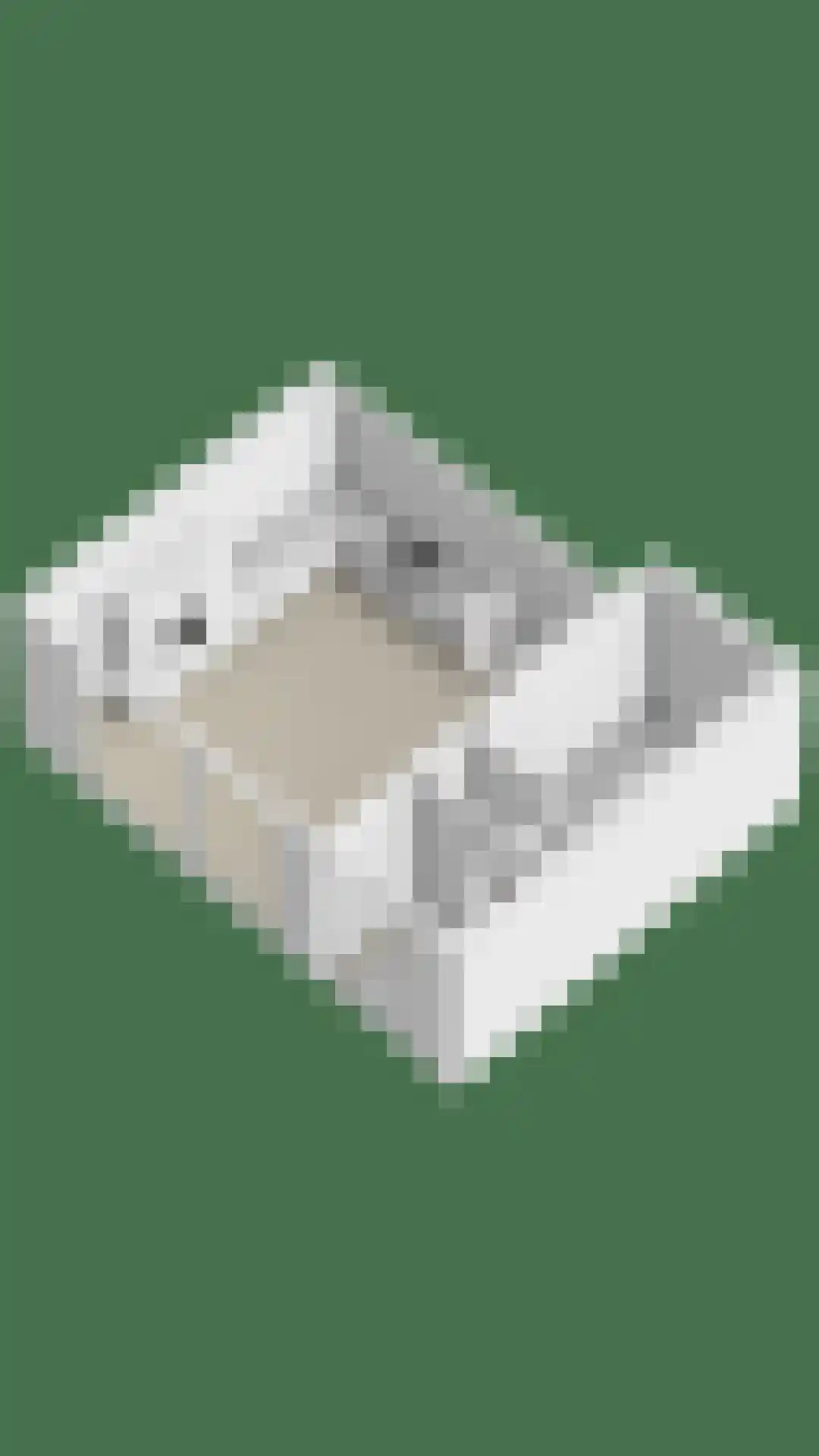 Wolbrantskerkweg 141 Amsterdam thumbnail 32