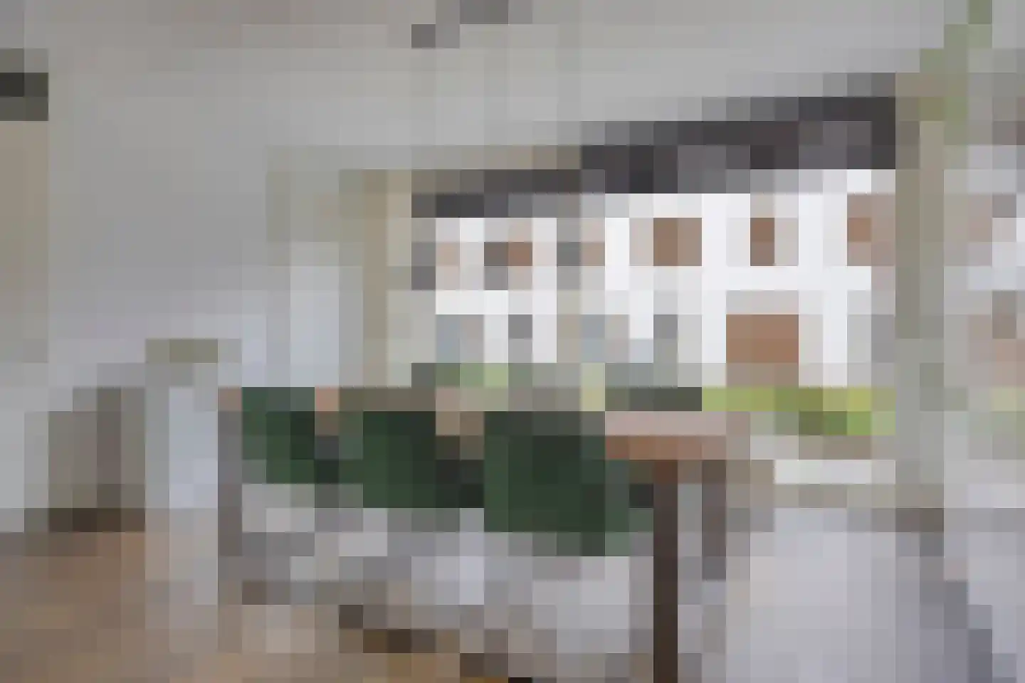 Wolbrantskerkweg 141 Amsterdam thumbnail 4