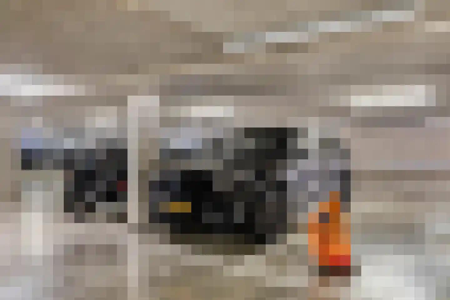Wolbrantskerkweg 141 Amsterdam thumbnail 5