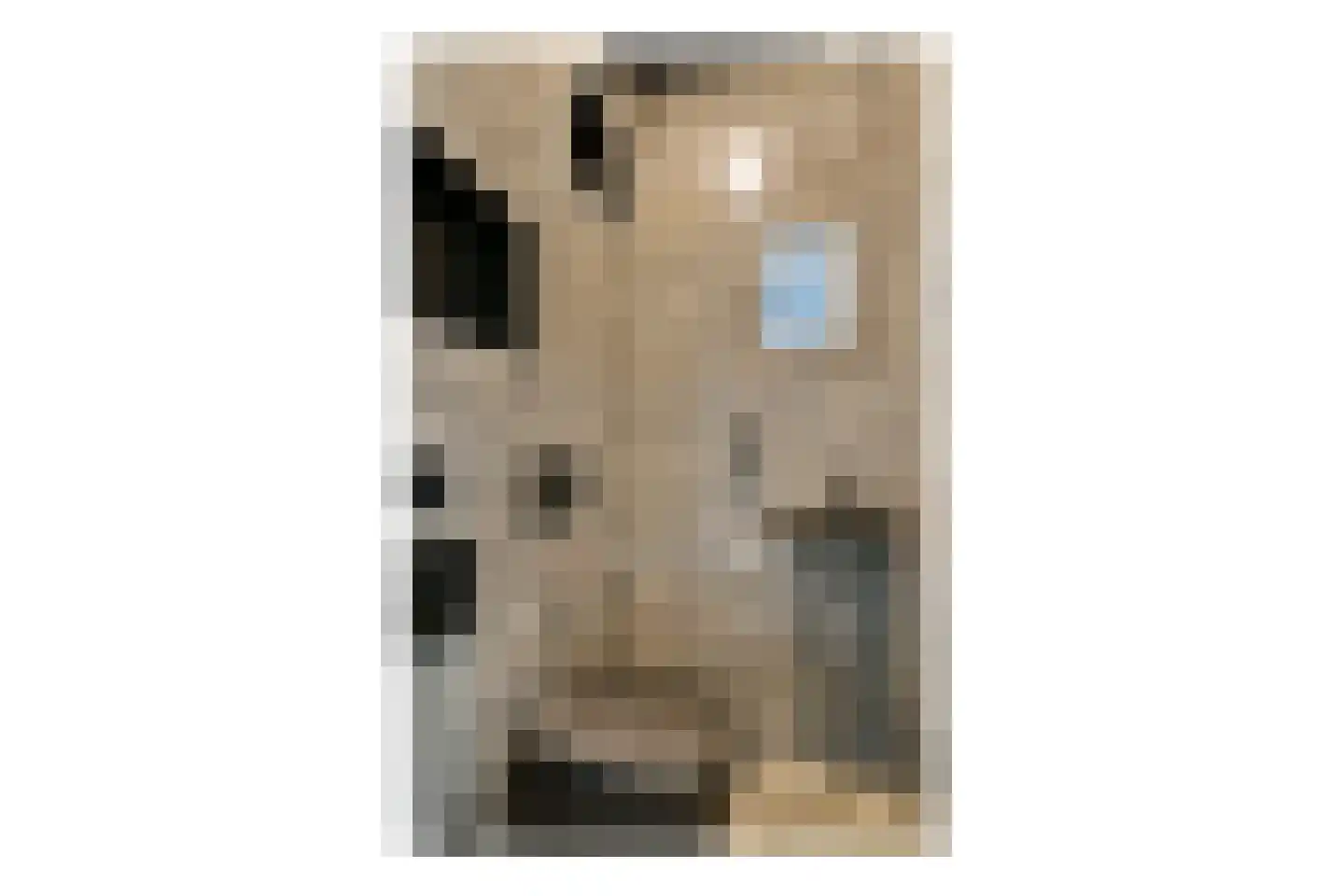 Wolbrantskerkweg 175 B Amsterdam thumbnail 21