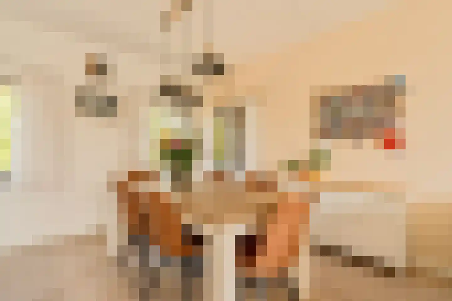 Wolbrantskerkweg 19 Amsterdam thumbnail 10