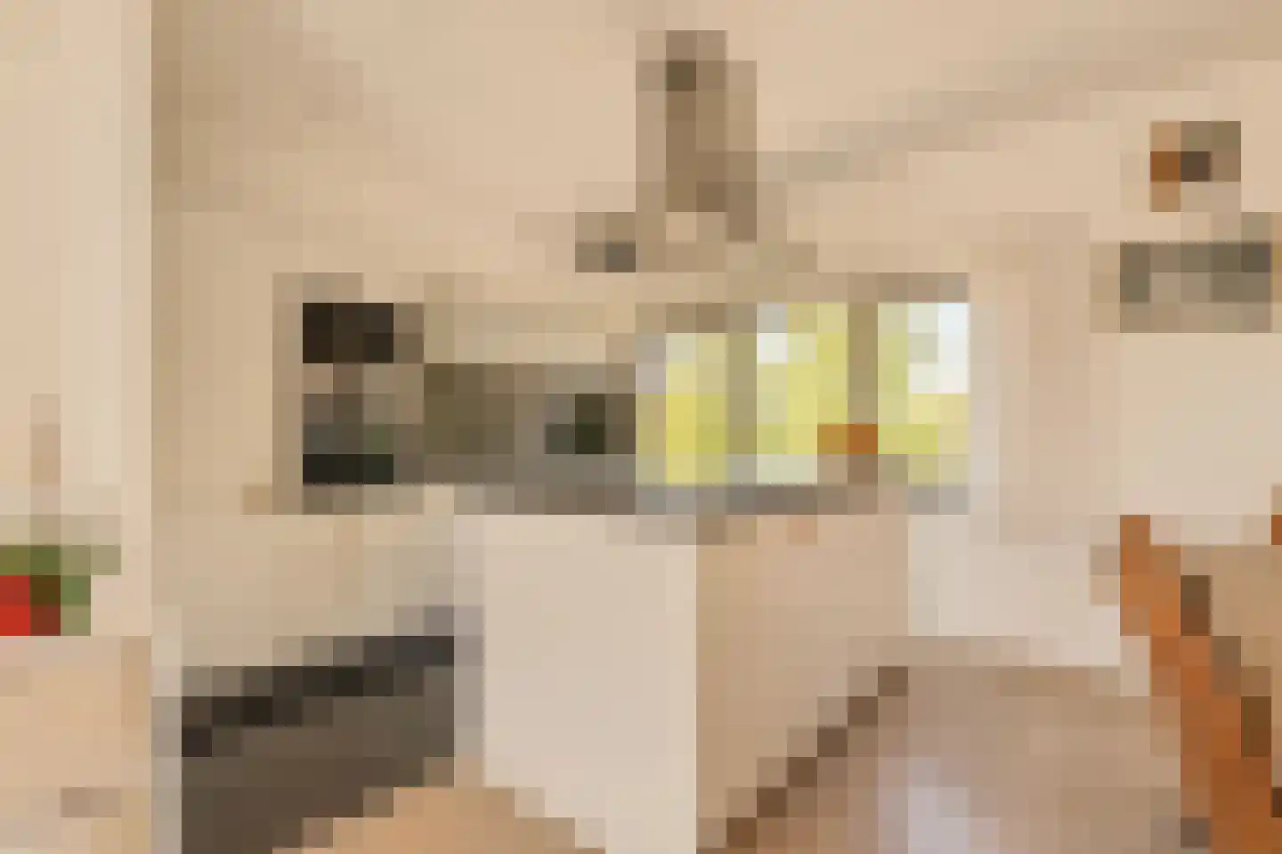 Wolbrantskerkweg 19 Amsterdam thumbnail 12