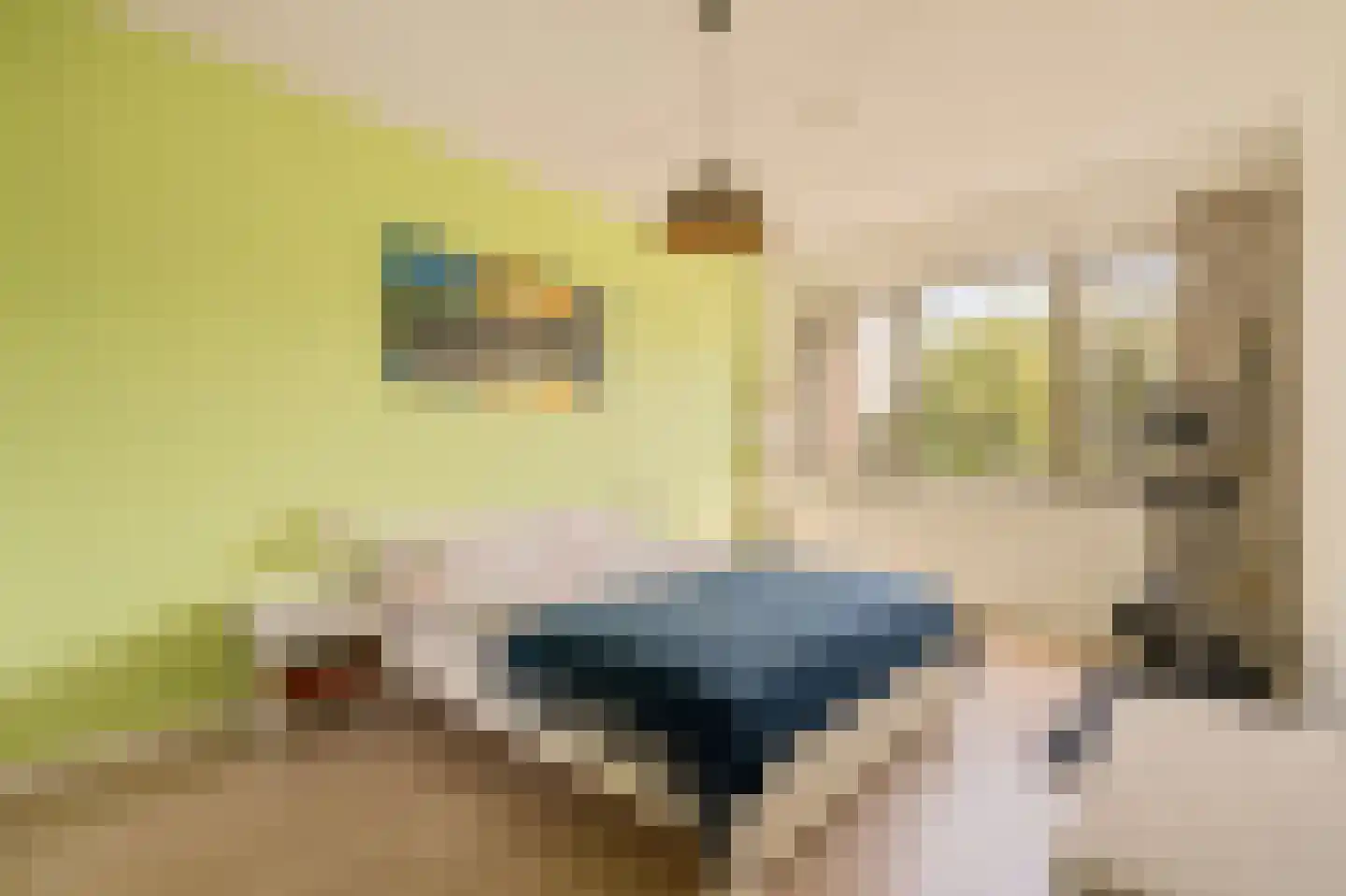 Wolbrantskerkweg 19 Amsterdam thumbnail 16