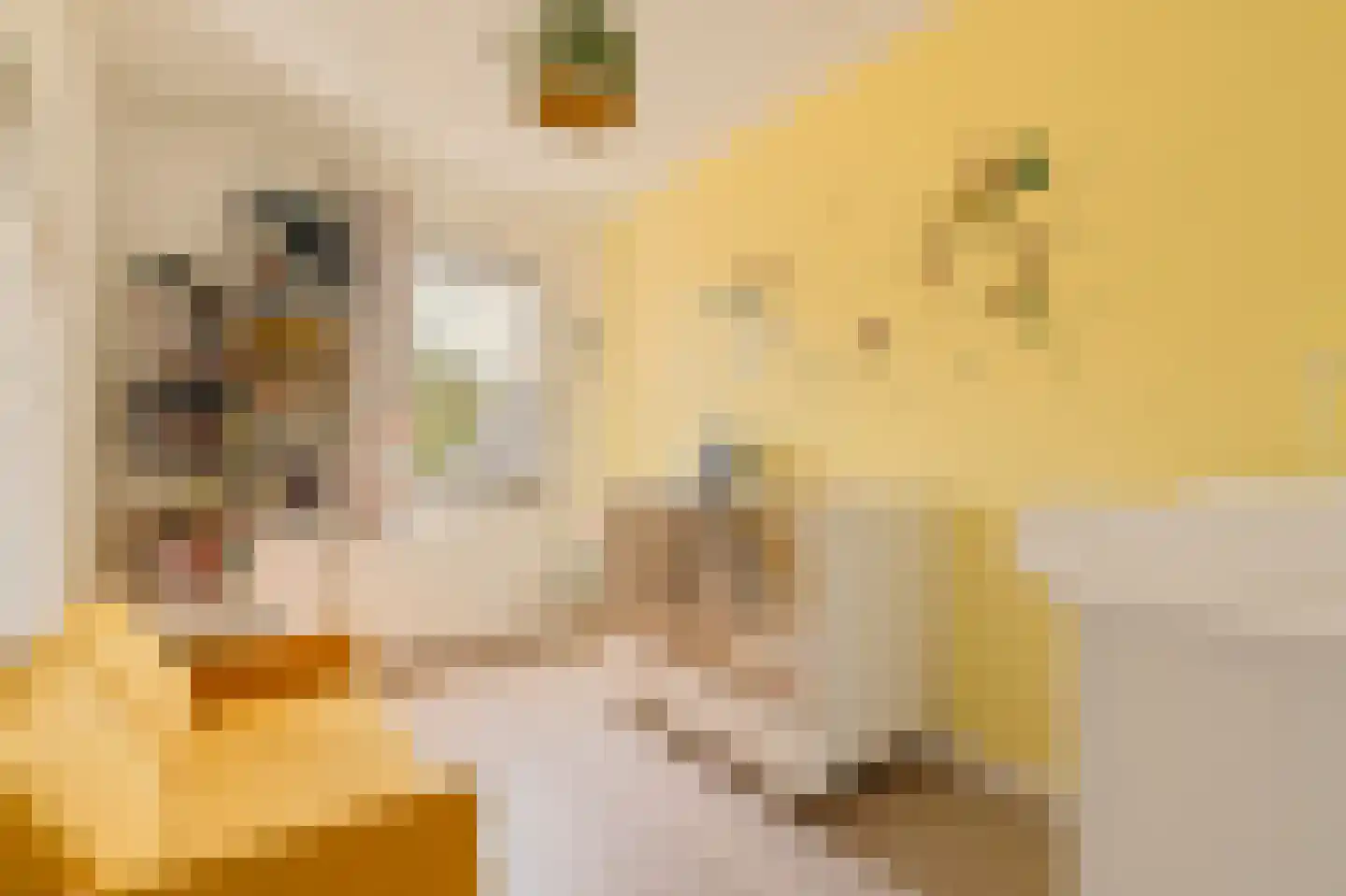 Wolbrantskerkweg 19 Amsterdam thumbnail 21