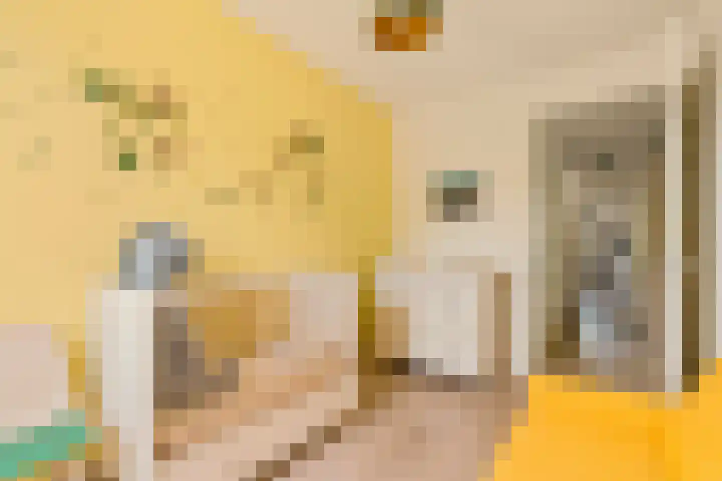 Wolbrantskerkweg 19 Amsterdam thumbnail 22