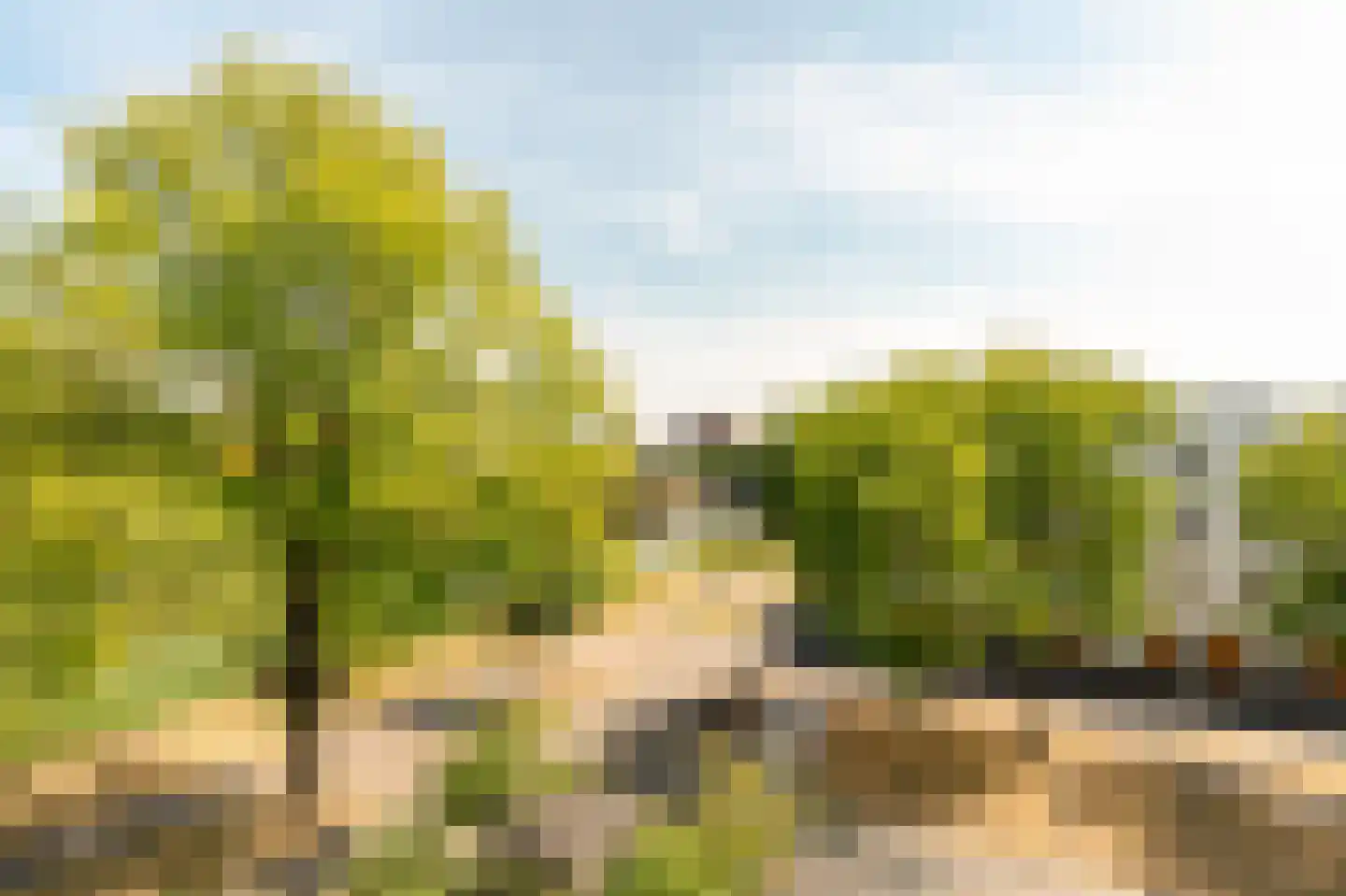 Wolbrantskerkweg 19 Amsterdam thumbnail 35