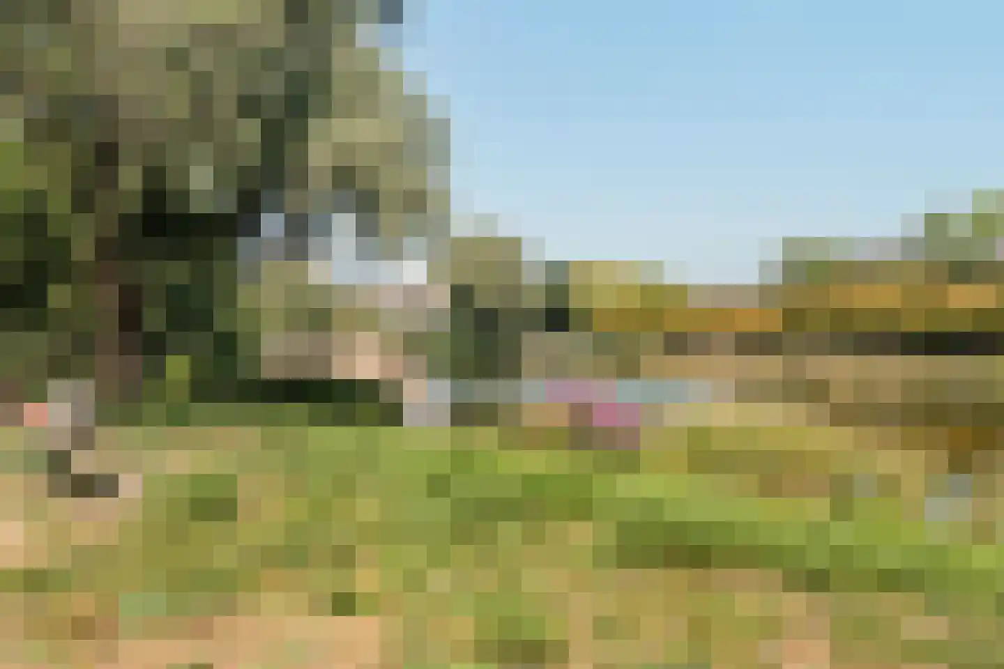 Wolbrantskerkweg 19 Amsterdam thumbnail 36