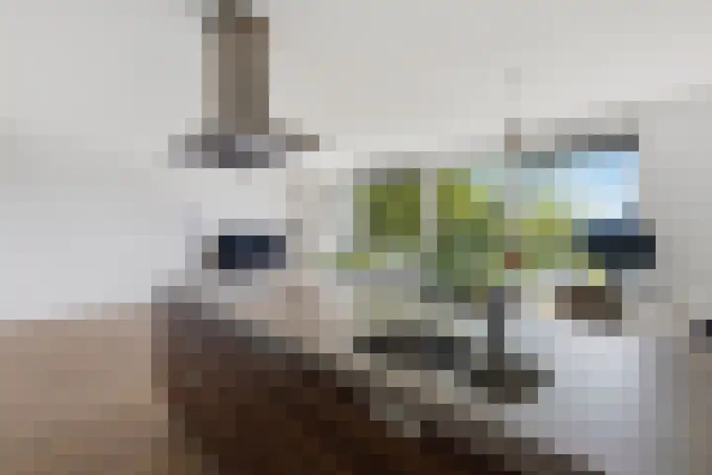 Wolbrantskerkweg 199 B Amsterdam thumbnail 8