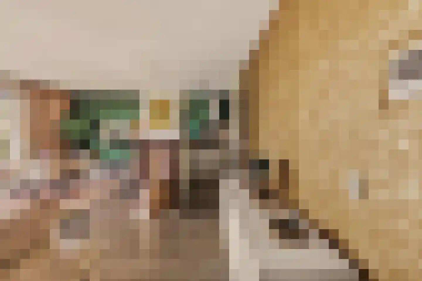 Wolbrantskerkweg 201 A Amsterdam thumbnail 12