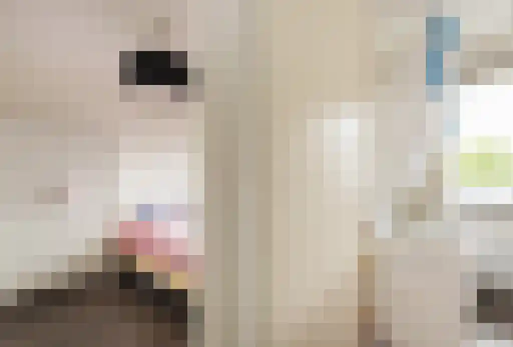Wolbrantskerkweg 201 A Amsterdam thumbnail 22