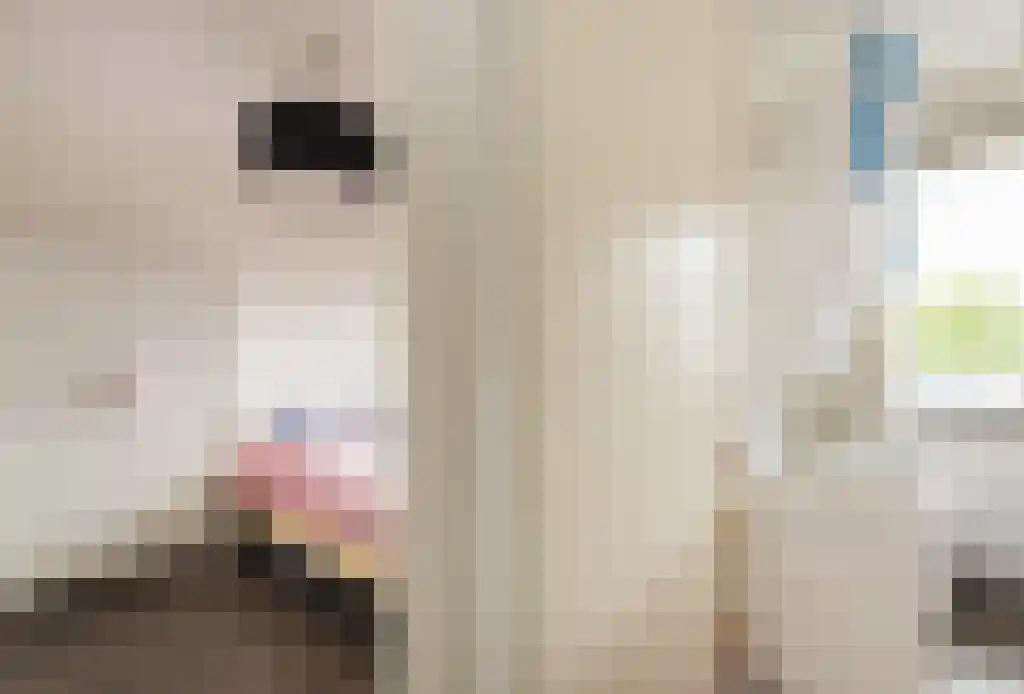 Wolbrantskerkweg 201 A Amsterdam thumbnail 23