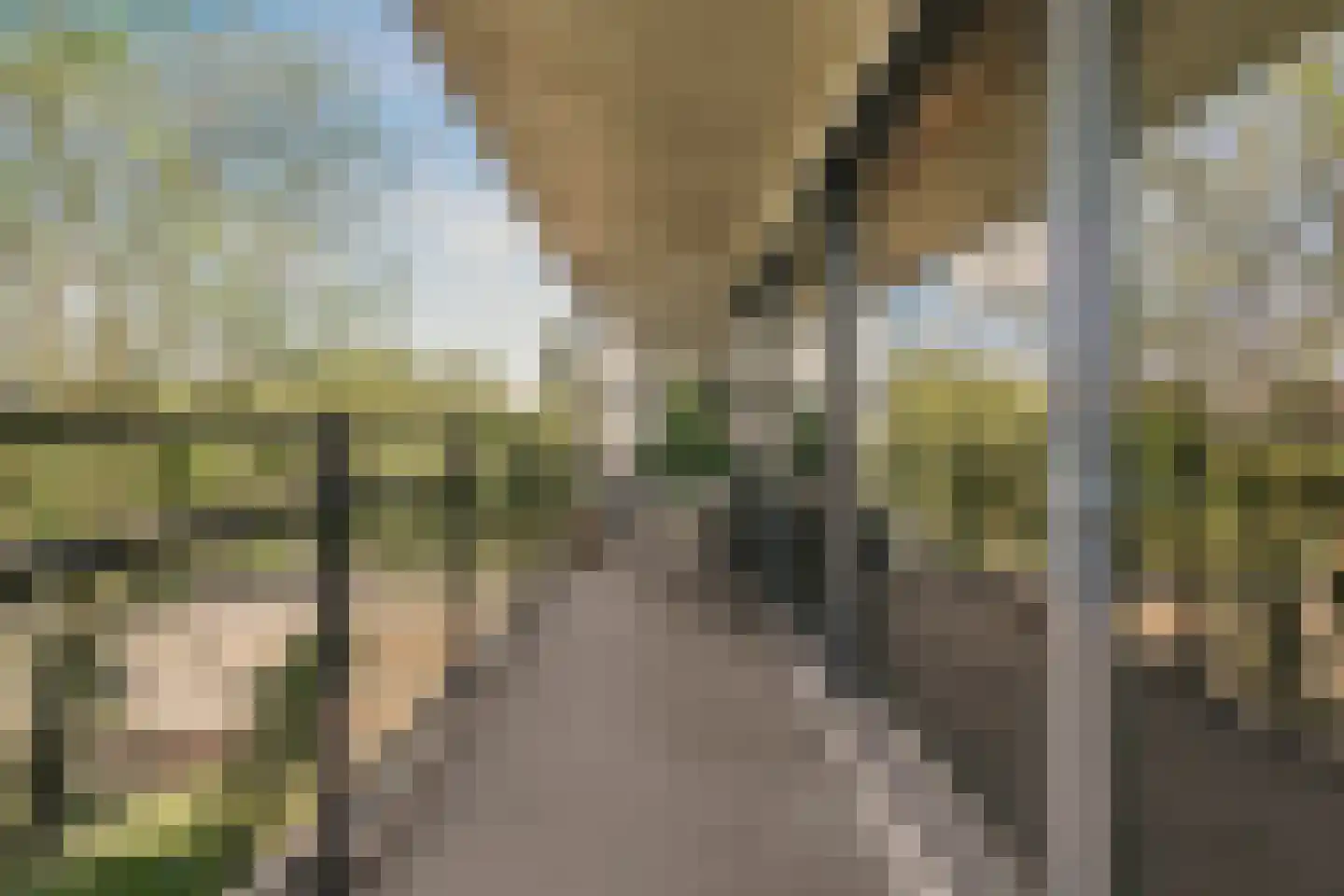 Wolbrantskerkweg 201 A Amsterdam thumbnail 30