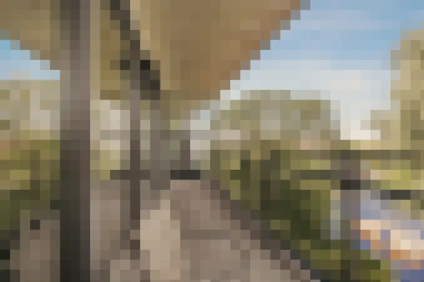 Wolbrantskerkweg 201 A Amsterdam thumbnail 31
